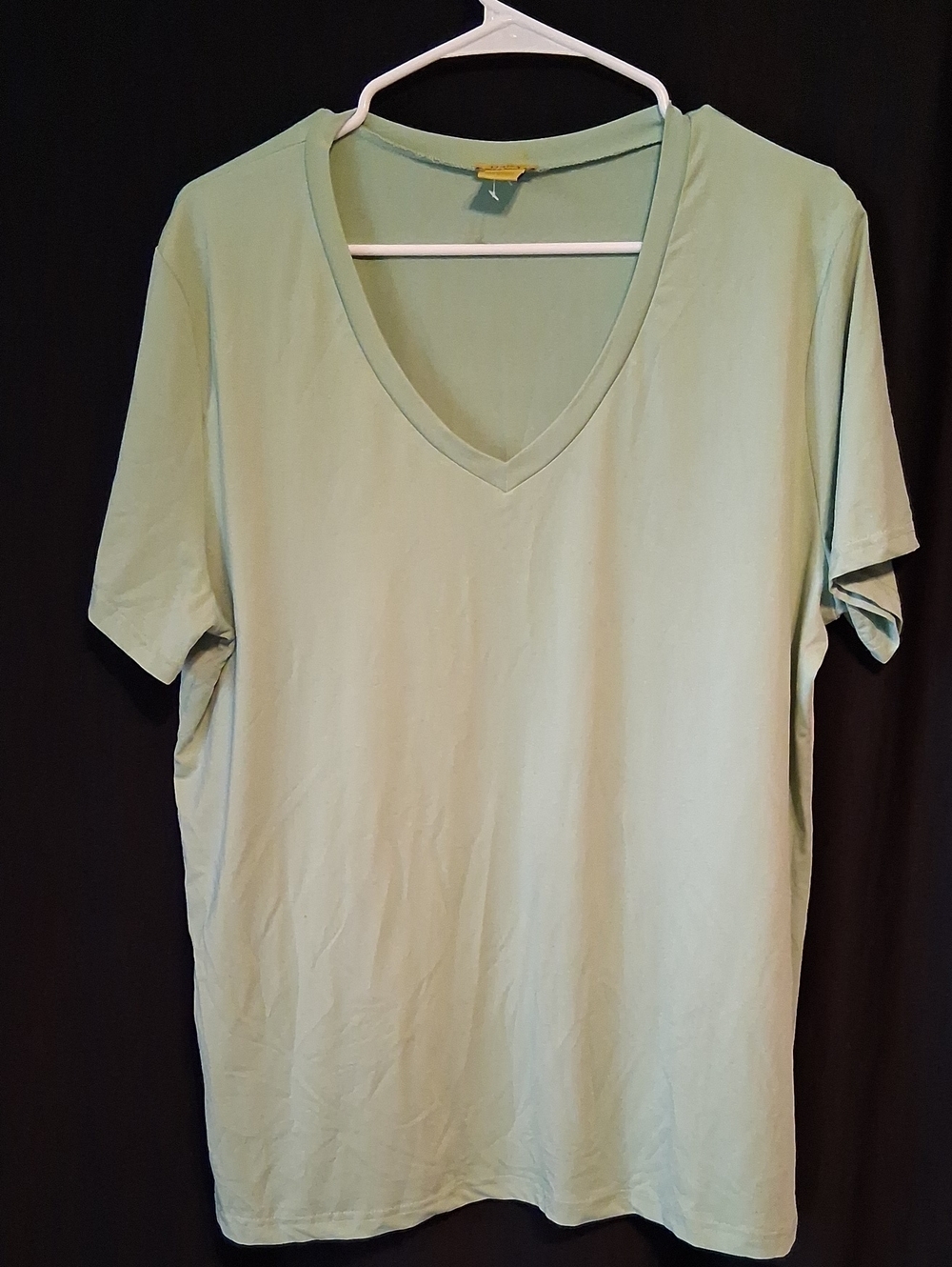 Daisy Light Mint Green V-Neck  Short Sleeve Top